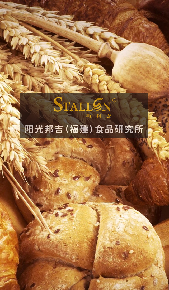 金阳光